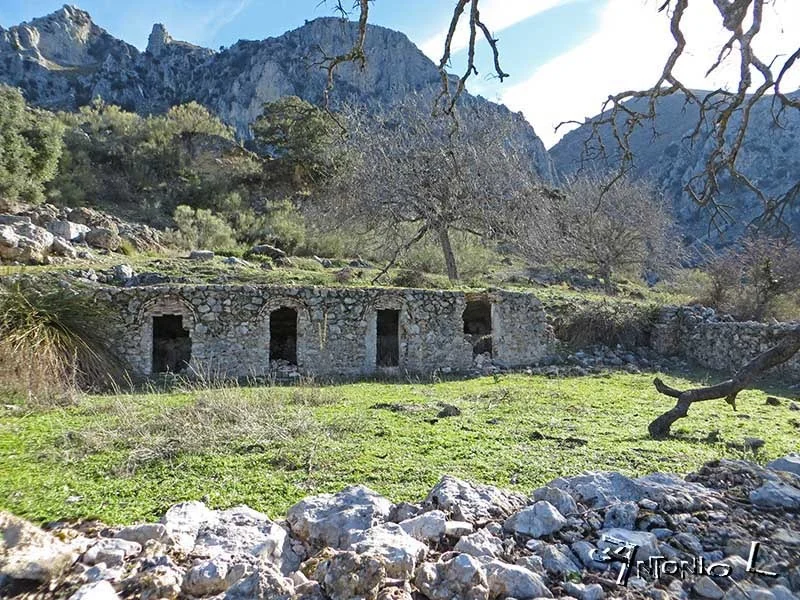 Cortijo y olivar en el Geoparque